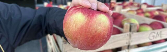 AKO STE U OVOJ GRUPU LJUDI, ODMAH PRESTANITE DA JEDETE JABUKE! U opasnosti ste, posebno OVAJ DEO TELA