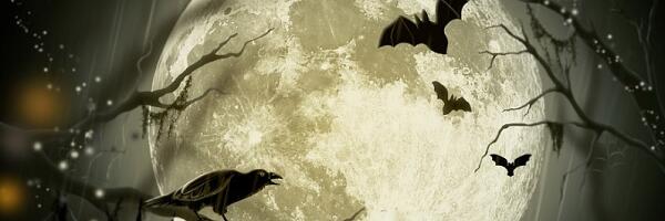 Koliko vremena bi trajalo putovanje na Mesec avionom, a koliko pešice? (FOTO)