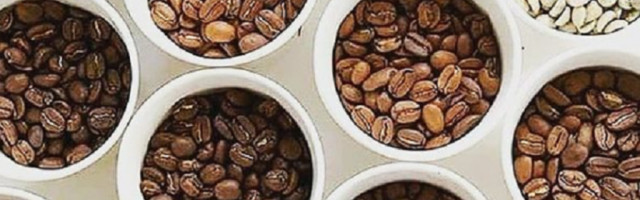 Ne možete ni da zamislite kako se "pravi", zgadiće vam se kada vidite!