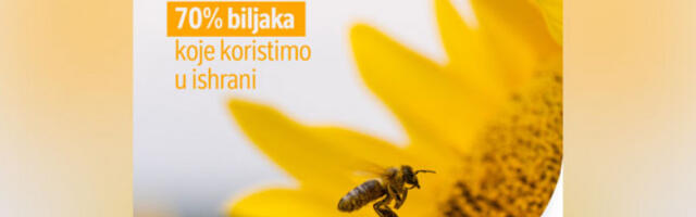 Регенеративно је ново нормално