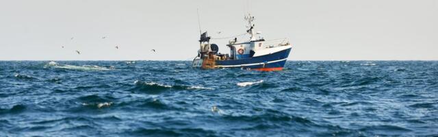 Niko ne zna kako je ovo stvorenje pronašlo put do Jadrana: Ribari nisu verovali šta su IZVADILI iz vode