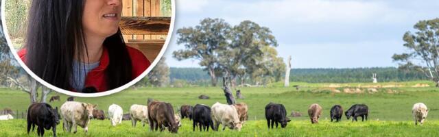 "STARIJI OD MENE 18 GODINA, JA SAM MU ČETVRTA ŽENA!" Ljubica kao dete je čuvala ovce i krave, naučila da kuva sa 7 godina! Ispovest žene koju život nije mazio