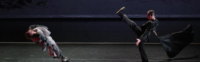 Publika na nogama nakon predstave Jasmin Vardimon