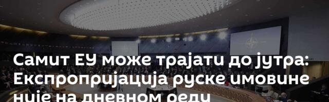 Самит ЕУ може трајати до јутра: Експропријација руске имовине није на дневном реду