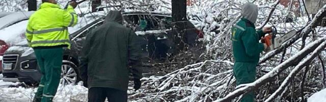 EDS: Radimo na otklanjanju kvarova nastalih kao posledica velikog nevremena