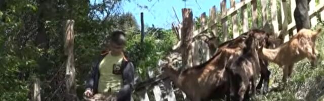 Ova deca vole selo i ne stide se: Evo šta rade svakog dana