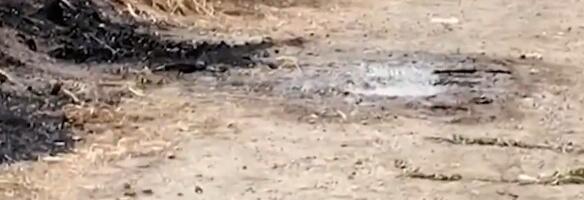 Novinar brutalno ubijen. Pretukli ga, gušili pa zapalili (VIDEO)