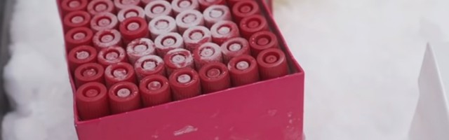 "Režim menja plan vakcinacije i igra se životima ljudi"