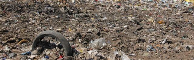 Na deponiju kod Titela istovarena tri kamiona mrtvih ovaca