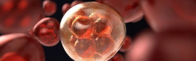 Milioni ćelija majke opstaju u detetu - naučnici sada znaju kako