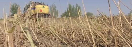 Uvedene nove olakšicec za poljoprivrednike, evo na koju proizvođače se odnose