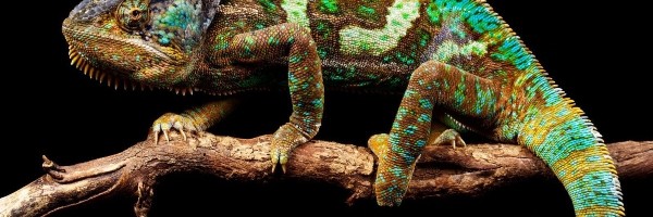 Korejski naučnici razvili ultimativnu stelt tehnologiju