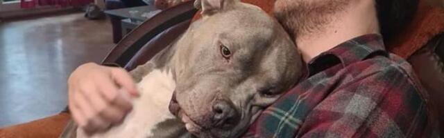 OVO JE PATRIK KOJI JE PRIZNAO DA JE UBIO POZNATU INFLUENSERKU STEFANI! Na saslušanju OTKRIO SVE JEZIVE DETALJE: Telo spakovao u tepih, zapalio auto, a onda...