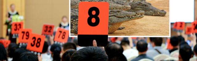 Na aukciji u Sotbiju dela starih majstora, mnoga nisu viđena više od veka