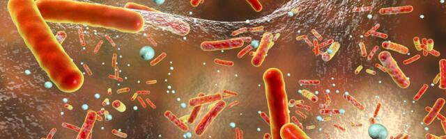 Nagli porast broja obolelih od gripa u Hrvatskoj: Potvrđeni su i novi smrtni slučajevi