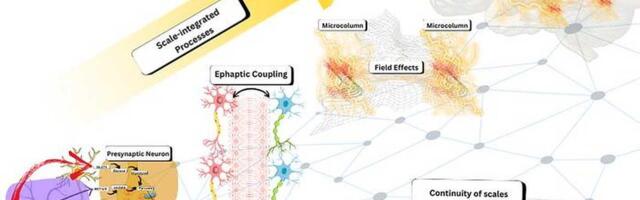 Nova teorija biološke kompjutacije mogla bi objasniti svest