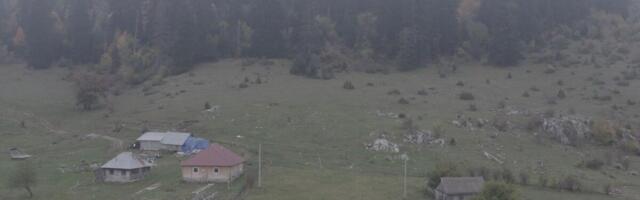 Niko iz ove misteriozne šume u Srbiji ne želi ni granu da ponese! "Svakoga ko u nju dirne, brzo stigne Božja kazna"