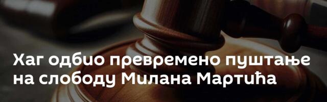 Хаг одбио превремено пуштање на слободу Милана Мартића