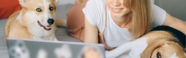 Da li imate psa, mačku, papagaja ili ribice? Evo šta izbor ljubimca govori o vašoj ličnosti