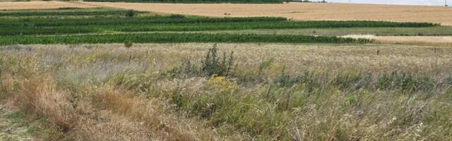 Srbija se sve više oslanja na rudarstvo, poljoprivreda i šumarstvo beleže značajan pad