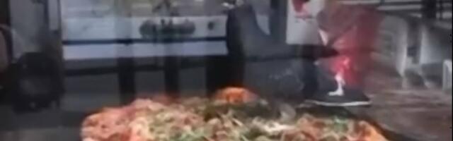 Poznata beogradska picerija nakon miševa sad ugošćava i golubove i  malo nam se okreće stomak