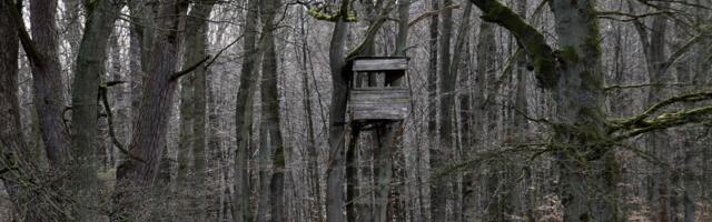 Dušan je na putu ka Aleksandrovcu pronašao nešto što se ne viđa: Kad je izmerio da ima 3 kila, odmah je zvao njih!