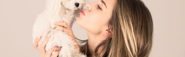 Odgovornost i ljubav prema ljubimcu - prodaja pasa