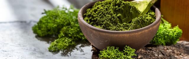 Kome hlorela može da pomogne, a kome da škodi: Ovo su benefiti, rizici i uputstva za pravilnu upotrebu alge