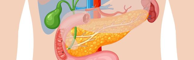 Pankreas prvi strada posle 50. godine