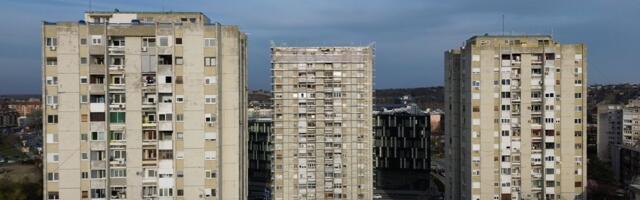 "Uljez" iznenadio Novosađane! Slobodno se šetao po ogradi: "Sad znamo ko je krao..."