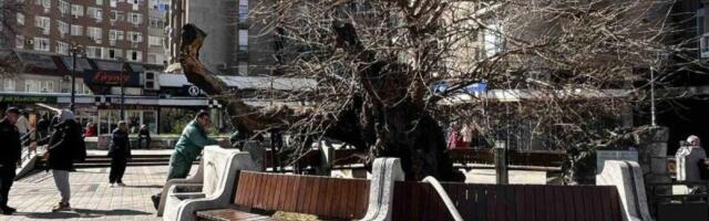 Otkriveno kako se zapalio Karađorđev dud! Evo ko je kriv za izazivanje požara