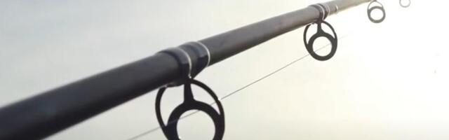 MARKU KRENULA DA SE CIMA PECALJKA, A ONDA JE BORBA TRAJALA VIŠE OD SAT! Nikad nije video ništa slično, jedva se izborio sa 90 kg NEMANI (FOTO)