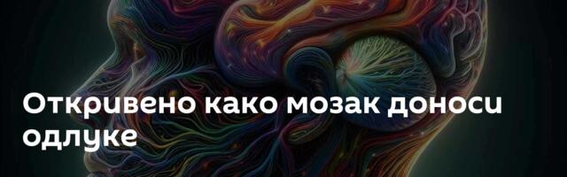 Откривено како мозак доноси одлуке