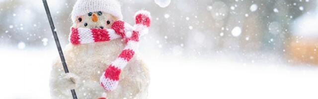 Osiono: Vozaču u Dobanovcima zbog nečega je bio kriv Sneško, zaleteo se i uništio ga