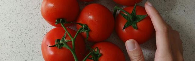 Upozorenje: Otkriveni komadići stakla u koncentratu od paradajza - proizvod hitno povučen ovde