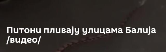 Питони пливају улицама Балија /видео/