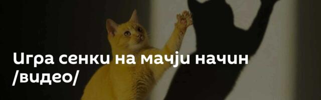 Игра сенки на мачји начин /видео/