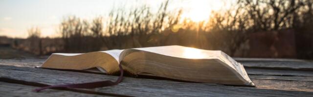 11 arapskih poslovica koje "otvaraju oči"