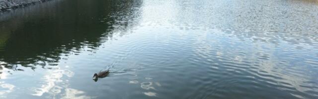 GEONASLEĐE NA DLANU: Projekat istraživanja geološke baštine vrnjačkog kraja