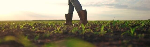 Subvencije bez računa: Ko sve ima pravo na olakšice?