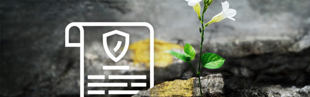 „Kakav god zakon da naprave prilagodićemo se”, kaže inženjer sa vizijom besplatnog znanja za đake u Srbiji