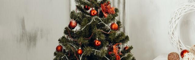 Praznična dekoracija: 6 DIY ukrasa za najlepšu i ekološki prihvatljivu jelku
