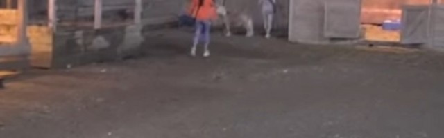 Skrenula s uma: Polila dečku stvari uljem, pa bežala iz Zadruge!