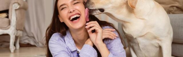 Ne dozvolite psu da vas liže: Mnogi imaju ovu naviku, ne znajući da je opasna