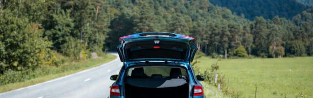 Kod Valjeva izgubljeno “crveno bure veličine praseta”: Internet se valja od smeha, a on muku muči