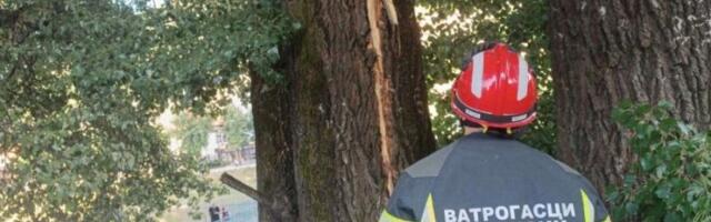 GROM RASCEPAO DRVO OD 30 METARA! Užas u Prijepolju - goreo strujoomer, sve letelo po ulici! (FOTO)