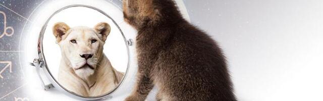 Da li ličite na svoj znak?