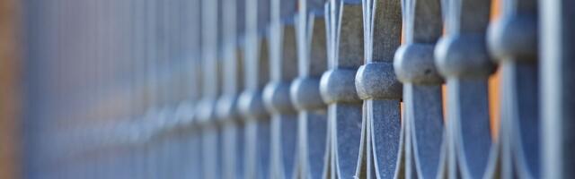 Kako da zaštitite svoje dvorište?