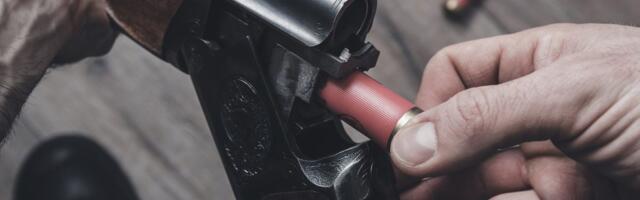 Smrt koja se dešava jednom u milion godina: Bizarno krvoproliće u Damjanovićima