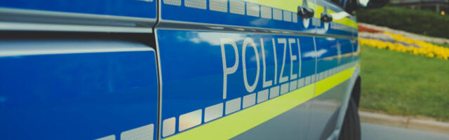 Јак ветар оборио дрво на северу Немачке, погинуле две жене и десетомесечна беба